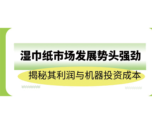濕巾紙市場(chǎng)發(fā)展勢(shì)頭強(qiáng)勁，揭秘其利潤(rùn)與機(jī)器投資成本