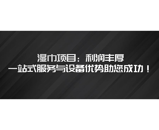 濕巾項目：利潤豐厚，一站式服務與設備優(yōu)勢助您成功！